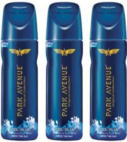 Park Avenue Cool Blue Seize the Day DEO Spray 150 ml (Pack of 3)
