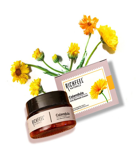 Richfeel Calendula Anti Blemish Overnight Cream