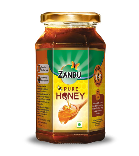 Zandu Pure Honey, 100% Purity, No Added Sugar, 500g (Free Shipping Worldwide)