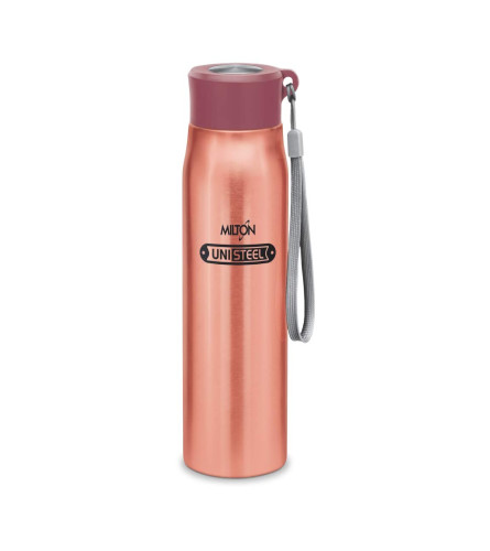 Milton Handy 650 Stainless Steel Water Bottle
