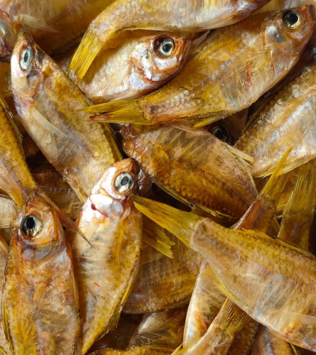 Dried Nandal Fishes (Kerala backwater Nanthal fish), Kerala dry fish (Export