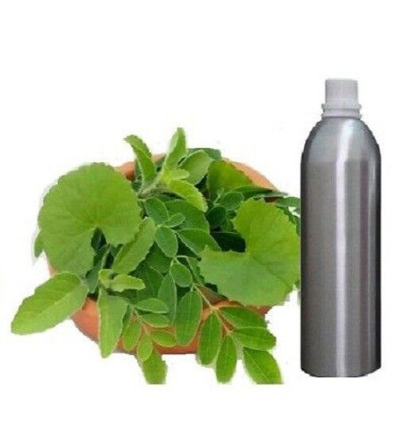 Aceite Esencial Puro Brahmi (Bacopa Monnieri) Aromaterapia Terapéutica, 250 ml (envío gratis)