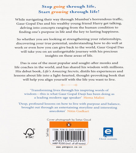 Life's Amazing Secrets: How To Find Balance And Purpose In Your Life | Inspirational Zen Book On Motivation, Self-Development & Healthy Living Paperback