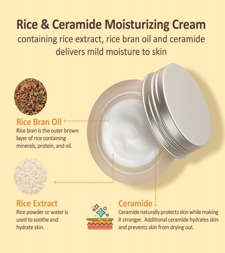 The Face Shop Rice & Ceramide Moisturizing Cream