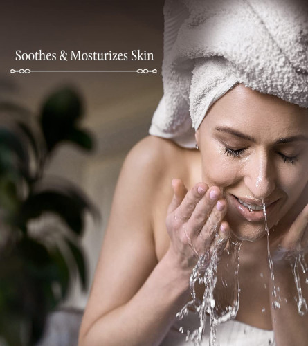 Blue Nectar Vitamin C Face Wash for Women and Men