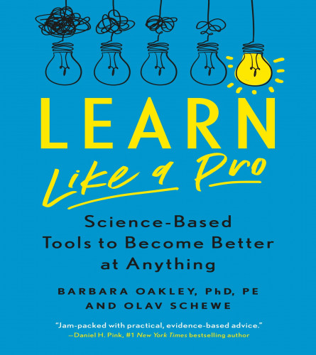 Learn Like a Pro : (Paperback)