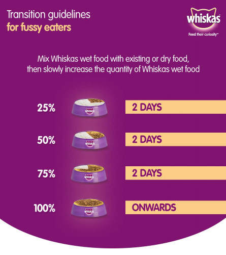 Whiskas Wet Food for Kittens(2-12 Months)Tuna in Jelly Flavor 85 gm (Pack of 12)Free Shipping World