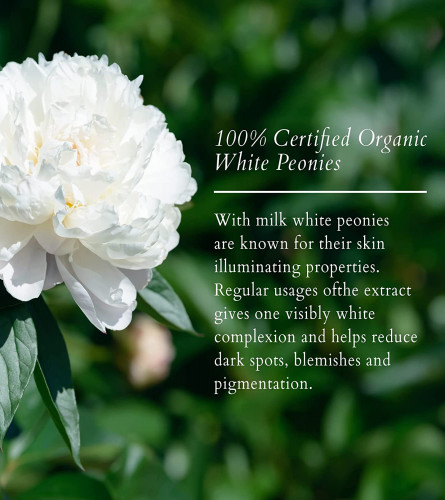 Lotus Organics+ Precious Brightening Serum + Cream 30 g