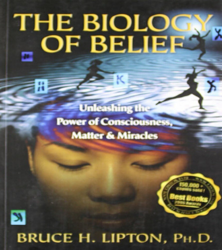 The Biology of Belief ( Paperback )