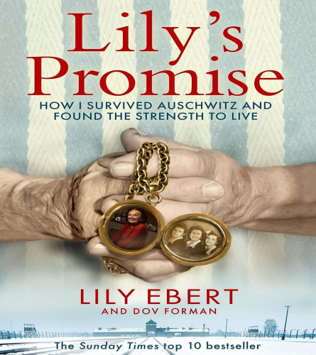 Lily's Promise : (Paperback)