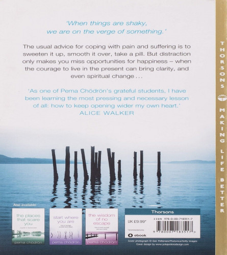 When Things Fall Apart : (Paperback)