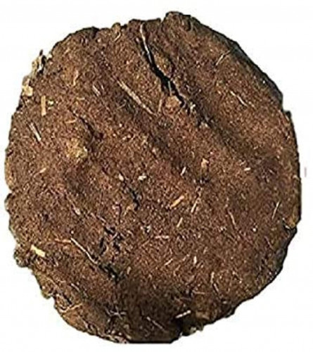 Desi Cow Dung Cake Big Handmade