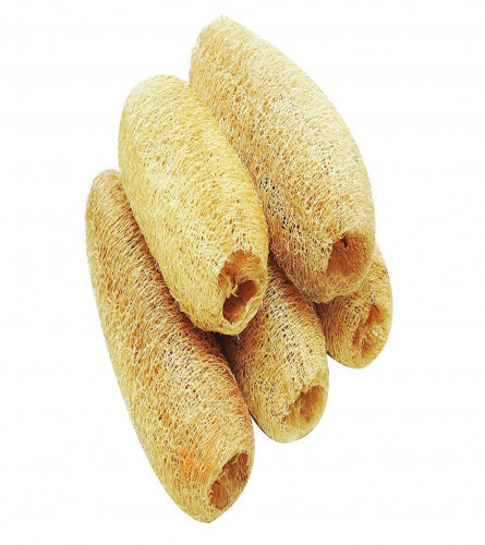 Natural Body Scrubber Loofah Sponges (pack 0f 10 )