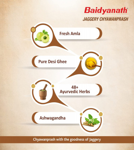 Baidyanath Jaggery Chyawanprash 750 gm