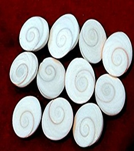 Gomti Chakra- 25 pcs