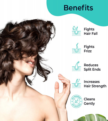 Pilgrim Mild Sulphate Free Shampoo (Argan Oil) For Dry Frizzy Hair