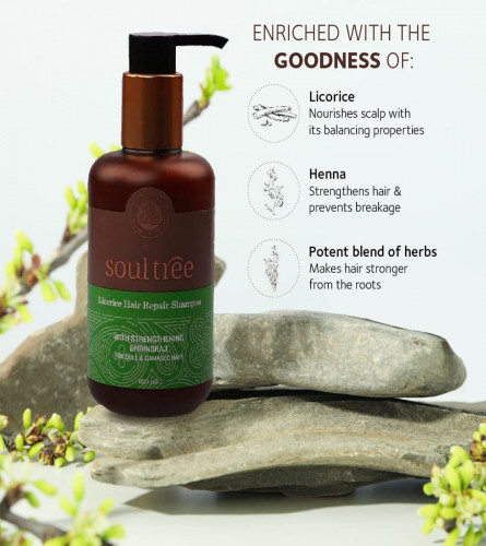 SoulTree Licorice Hair Repair Shampoo with Strengthening Bhringraj