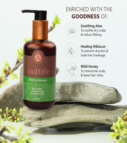 SoulTree Hibiscus Shampoo with Honey & Aloe Vera - Prevents Dryness & Hair Breakage