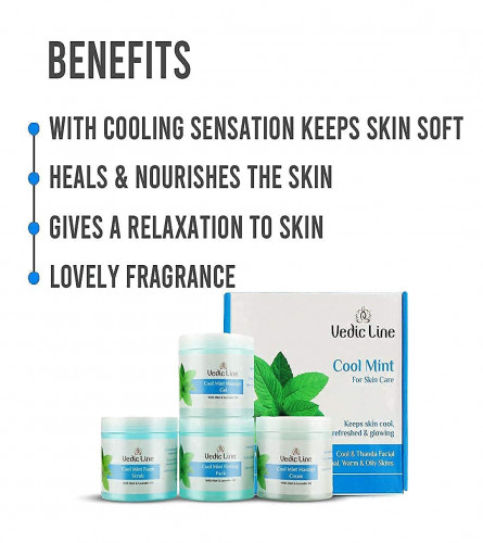 Vedicline Cool Mint Facial Kit, Helps to Reduce Tan & Dead Skin, 400 ml