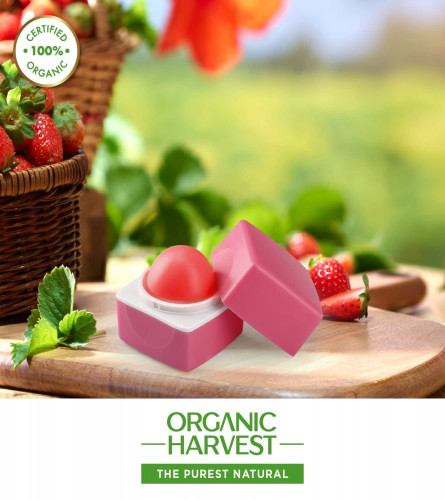 Organic Harvest Pink Tinted Lip Balm: Lily, Lip Balm for Women, Girls & Kids