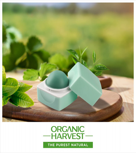 Organic Harvest High Gloss Lip Balm: Green Tea | Lip Balm for Girls & Kids