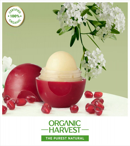 Organic Harvest Moisturizing Lip Balm: Pomegranate
