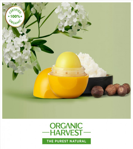 Organic Harvest Moisturizing Lip Balm: Shea Butter