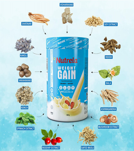 Patanjali Nutrela Weight Gainer Banana Flavour