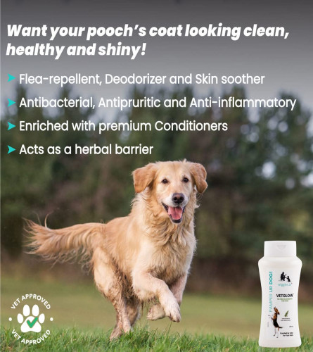 WIGGLES Vetglow Dog Shampoo