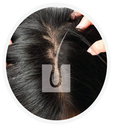 Vegetal Safe Color - Soft Black