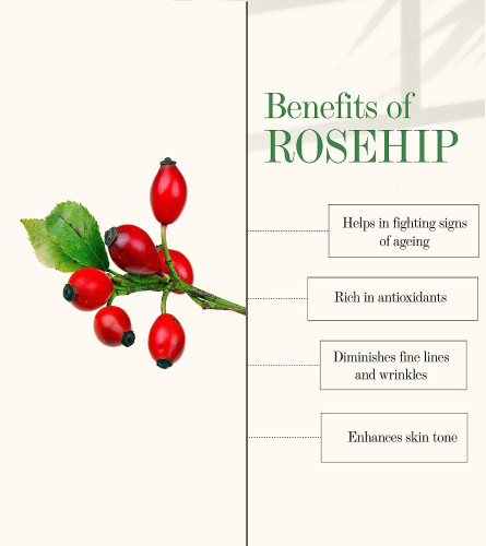 Good Vibes Rosehip Moisture-Rich Face Cream