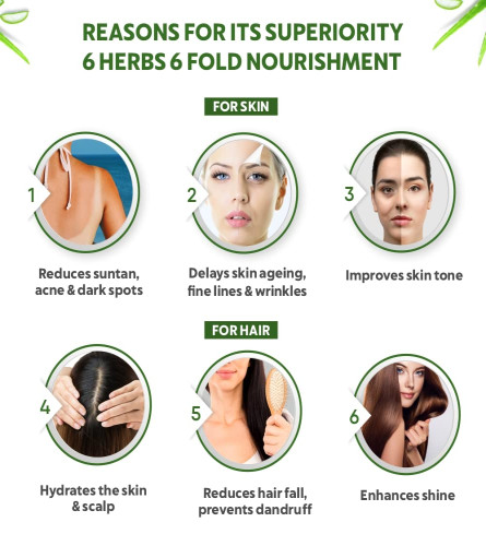 Indus Valley Bio Organic Non-Toxic Aloe Vera Gel