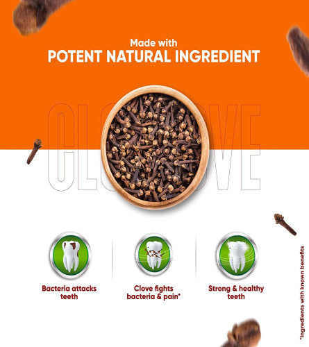 Dabur Herb'l Clove Cavity Protection Toothpaste