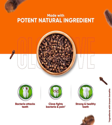 Dabur Herb'l Clove Cavity Protection Toothpaste