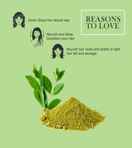Richfeel Heena Mehendi Powder