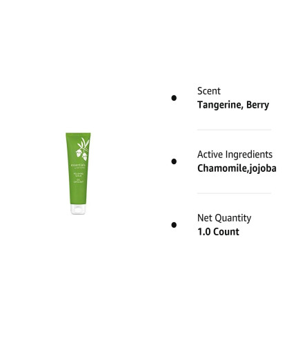 Amway Artistry Polishing Scrub Gel