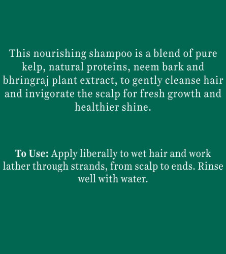 Biotique Bio Ocean Kelp Anti Hair Fall Shampoo  650ml & Biotique Onion Black Seed Shampoo 300 ml