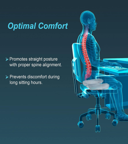 Tynor Ortho Cushion Seat, Universal Size, 1 Unit