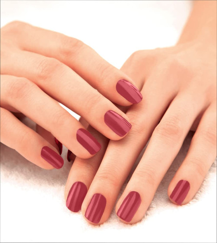 Lakme 9 to 5 Primer + Gloss Nail Colour, NudeWarmth, 6ml (Pack Of 5) Fs
