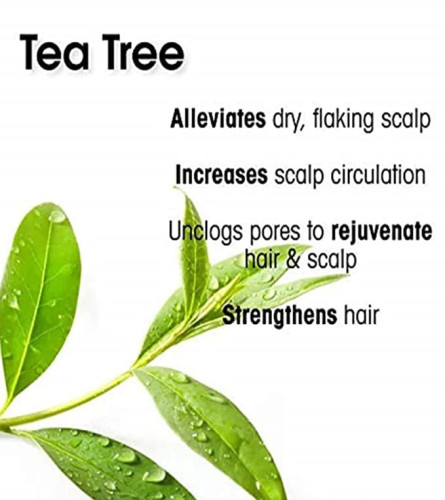 THE LOVE CO. Hair Conditioner - Tea Tree Conditioner For Hair