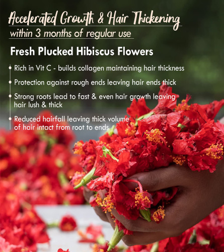 Nat Habit 5-Oil Hibiscus FRESH Hair Mask , Hair Growth , Hairfall Control