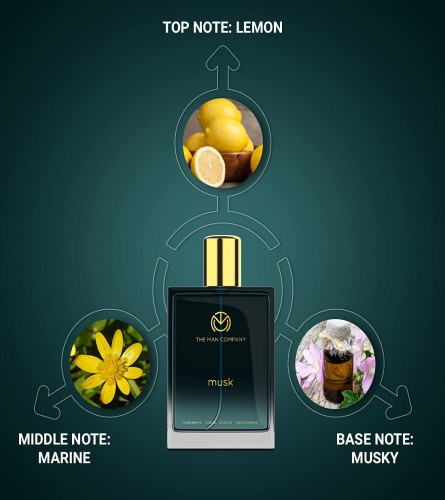 The Man Company Musk Perfume for Men | Premium Long Lasting Fragrance Spray