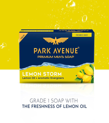 Park Avenue Storm Soap for Men, 125g