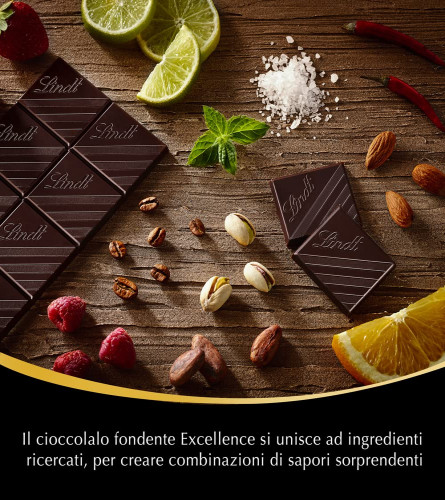 Lindt Excellence Chocolate - Touch of Sea Salt Dark Chocolate, 100g Bar (Free Shipping)