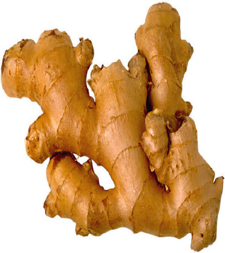 ginger-root-fresh-whole-raw-organic-non-gmo-fresh-harvest-eat-or-grow-1lb