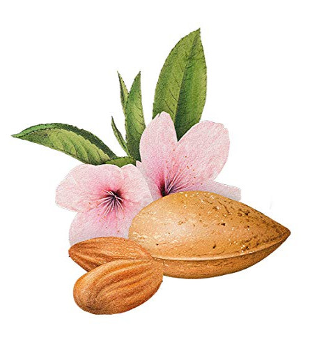 Biotique Almond Oil Nourishing Bathing Bar 150gm (Pack of 4)-free shipping