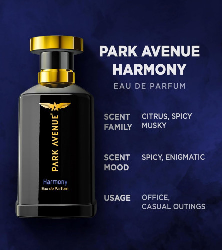 Park Avenue Harmony Eau De Parfum Men 100 ml