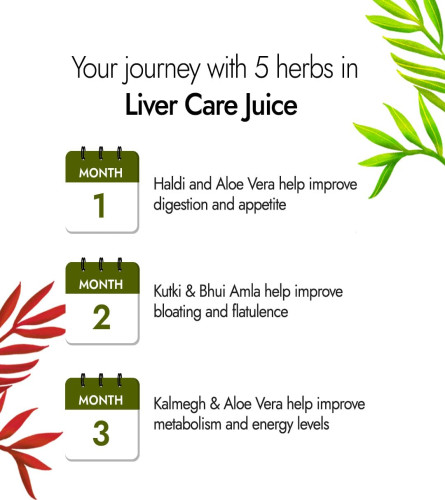Kapiva Liver Care Juice 1 L