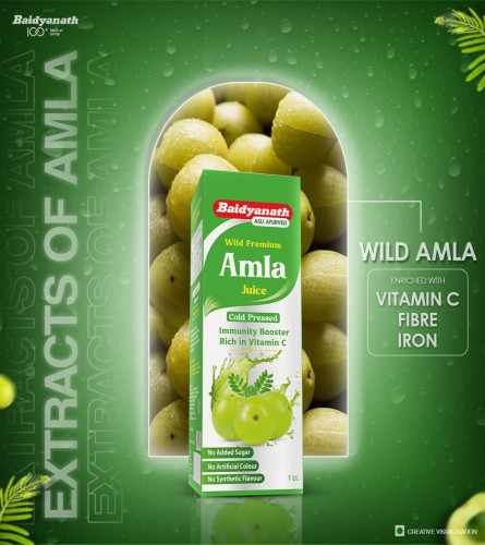 Baidyanath Amla Juice 1 L