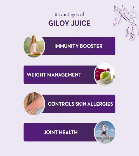 Baidyanath Asli Ayurved Giloy Juice - 1 L